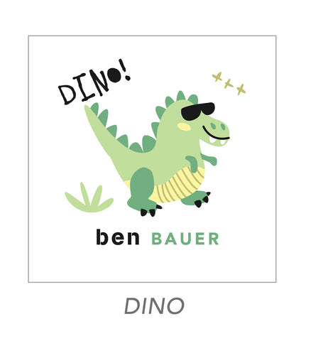 boy stickers (DINO)